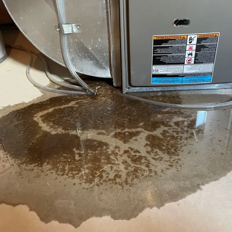 Pipe Burst and Leak Restoration in Strong, ME