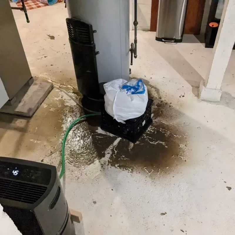 Sewage Backup Cleanup Service in Strong, ME